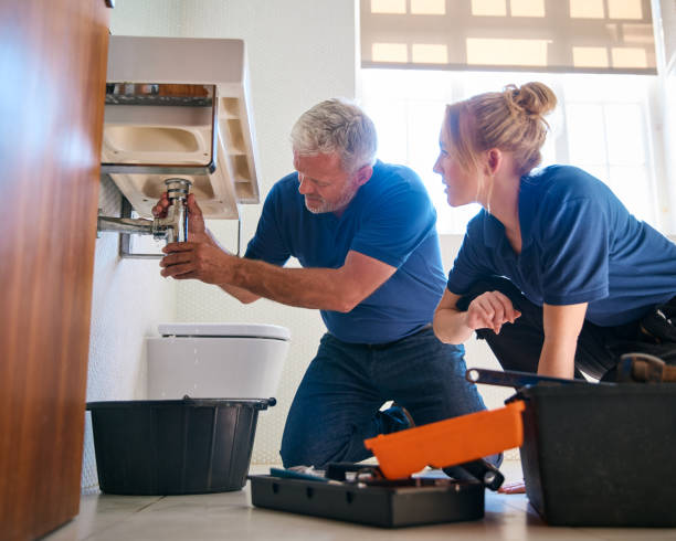 Best Affordable Plumber Near Me  in Thornton, IL