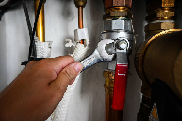 Best Shower Repair Services  in Thornton, IL
